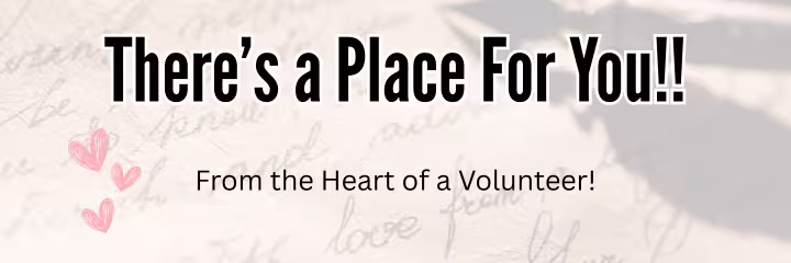 Letter From Volunteer Karen C