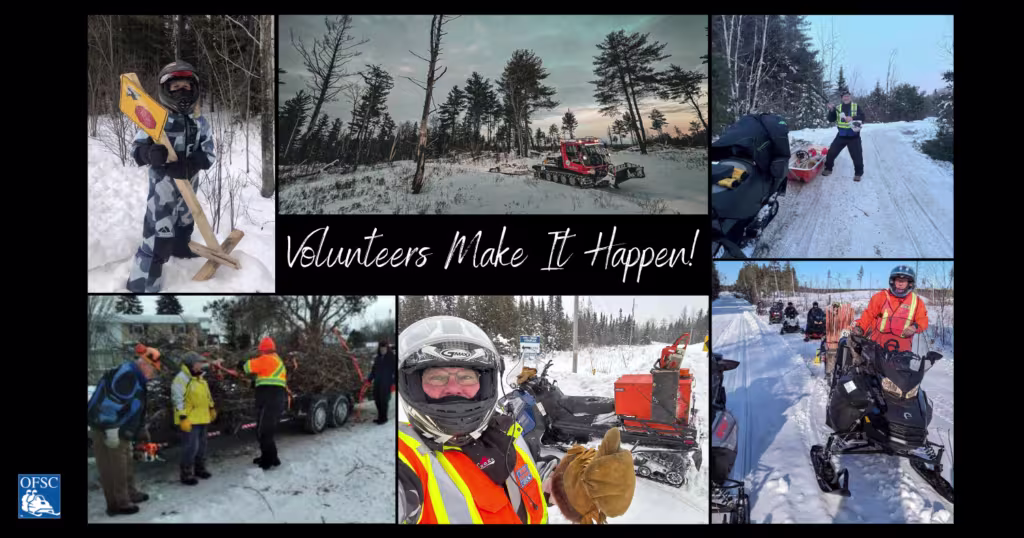 Newsletter-Collage-Images-1-1024x538